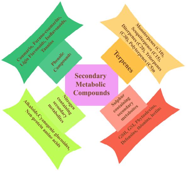 Fig. 1 Profiling plant secondary metabolites and their role in plant defense system (Zaynab et al., 2018).