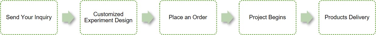 How to Place an Order 