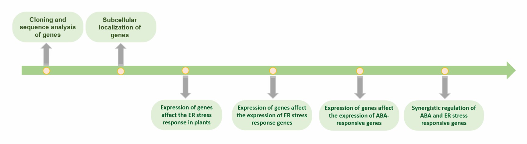 Processing for analysis of ABA-mediated ER stress response.