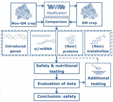 Fig. 1 Comparative safety assessment approach for GM crops modified with RNA interference (Kleter, 2020).