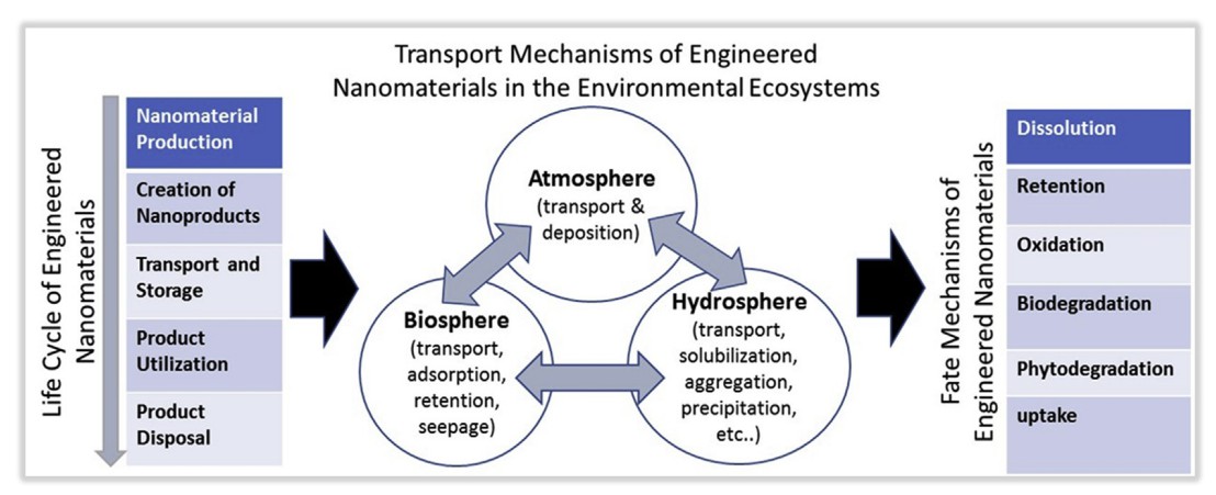 Fig. 1 Potential discharge of engineered nanomaterials in their life cycle and their environmental transport and fate (Mohamed et al., 2021).