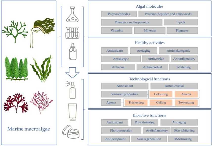 Cosmeceutical potential of algae components.
