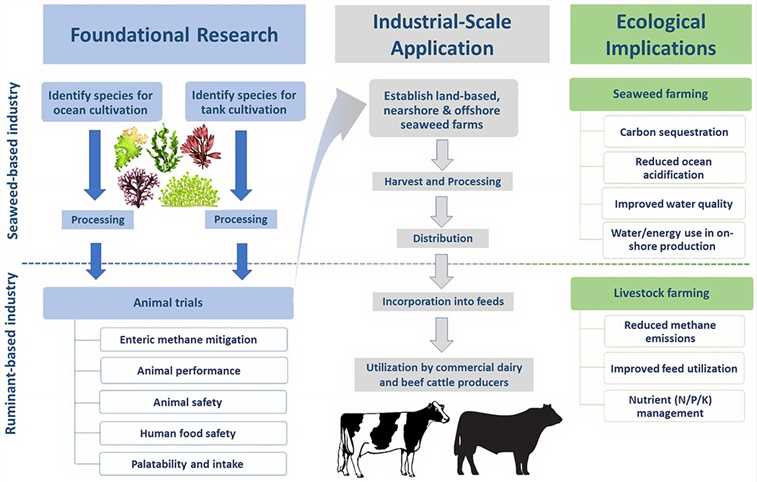 Proposed pathways to the development of seaweed products for enteric methane mitigation.