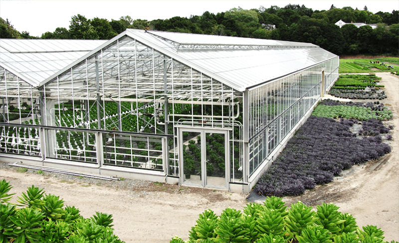 Greenhouse facility