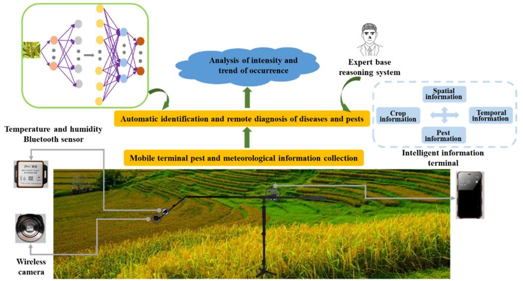 Fig. 1 Overview of intelligent plant protection monitoring system (Wang et al., 2022).