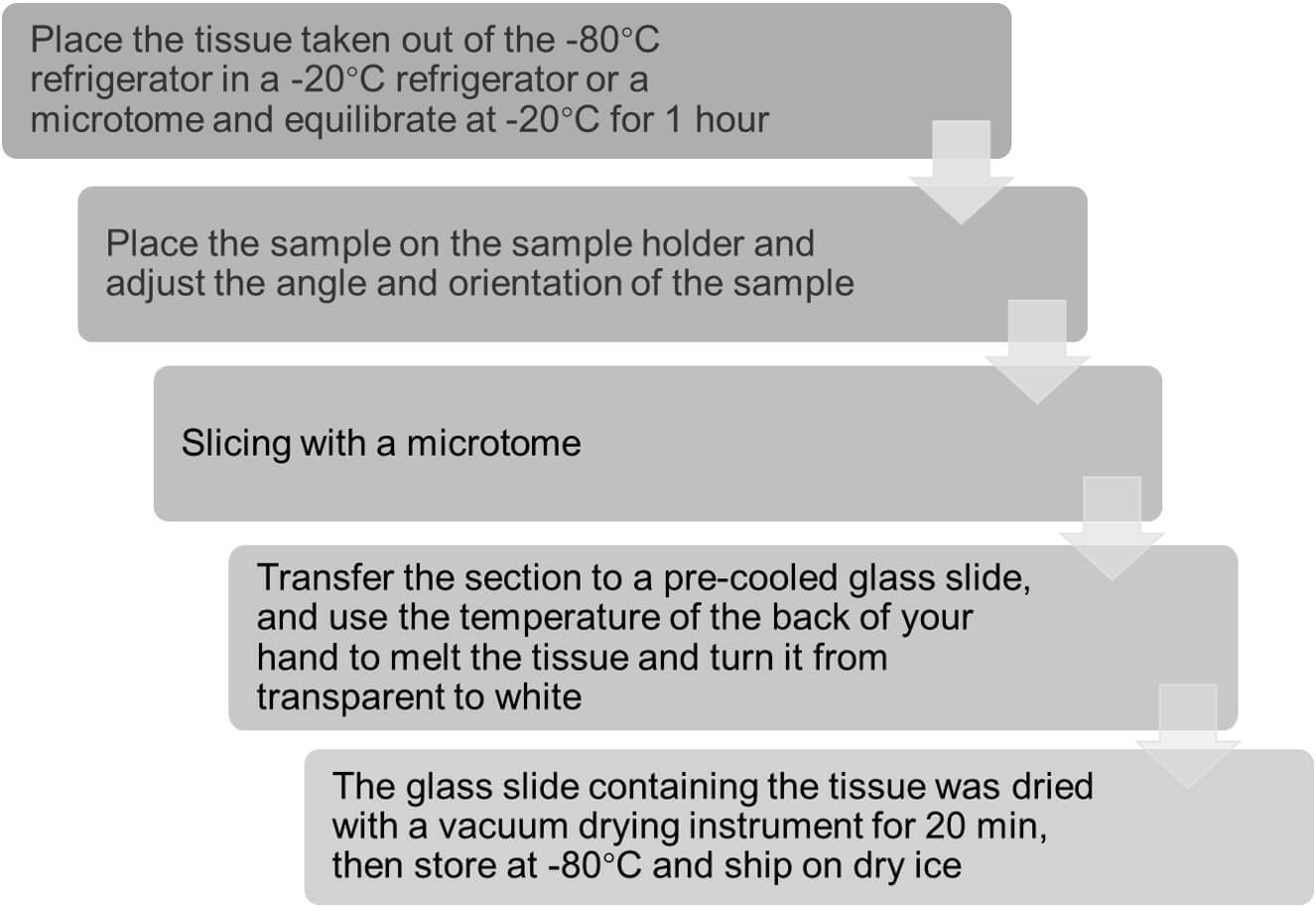 Tissue sections preparation