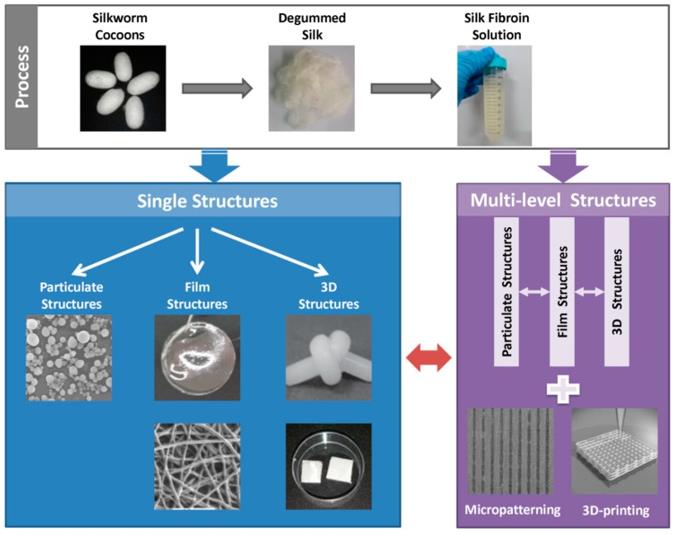 Structural design of SF-based biomaterials from single structures to multi-level structures.