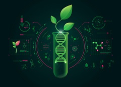 Synthetic biology based on plant subcellular organelles