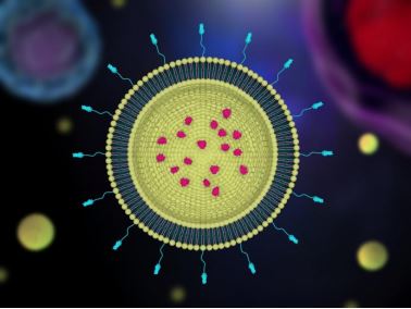 Targeted Liposome Development Services