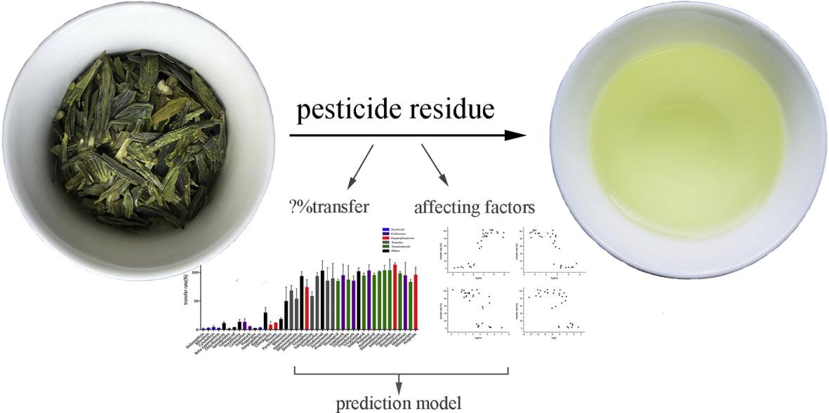 Fig.1. Transfer of pesticide residue during tea brewing.