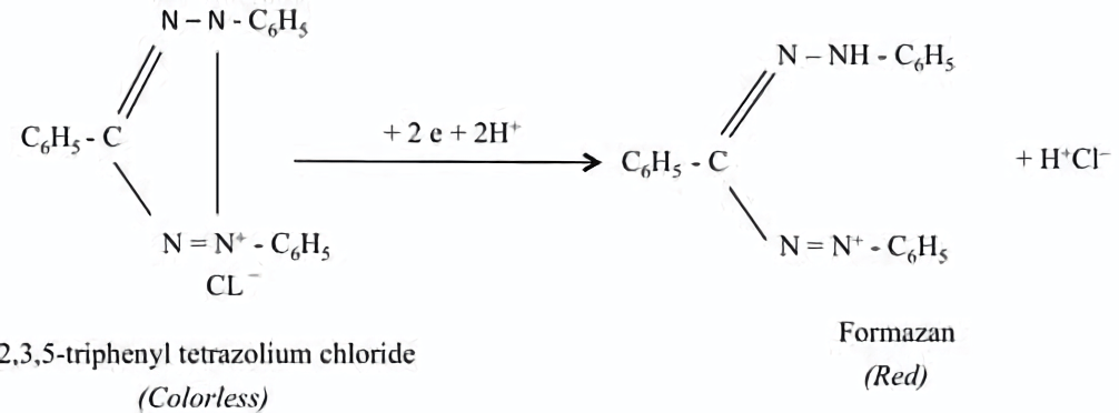 Figure 1. The principle of TZ testing (Elias et al., 2012). 