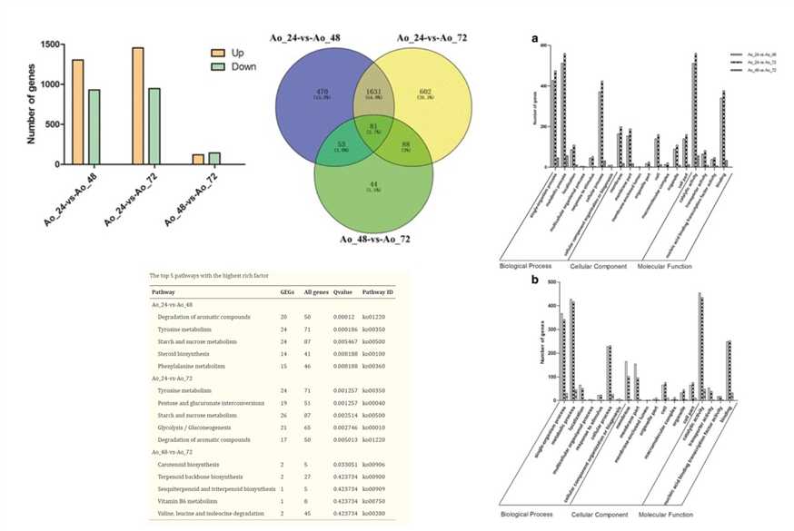 Figure 1. Results of transcriptome analysis of different growth stages of fungi.