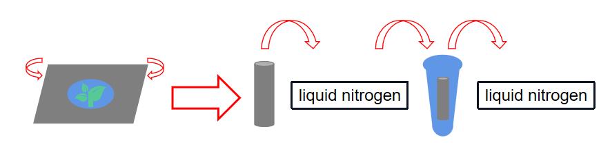 The procedures of liquid nitrogen ultra-low temperature treatment