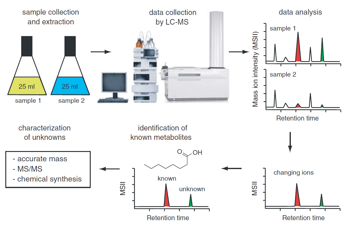 Figure 1. Overall workflow for an untargeted metabolomics analysis (Vinayavekhin  and Saghatelian, 2010)