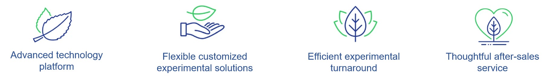 Fig. 2. Advantages of our services - Lifeasible