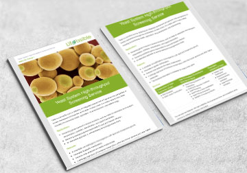 Yeast System High Throughput Screening Service