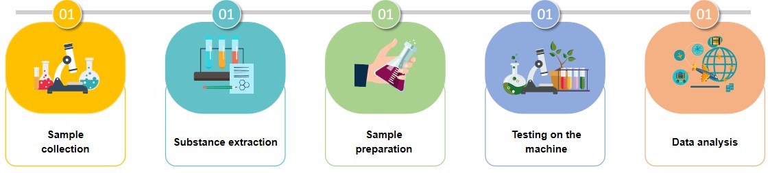 Fig.2 Process of amino acids quantification.
