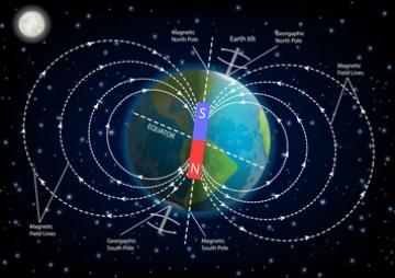 Analysis of Magnetic Field Effects on Plant Growth and Development