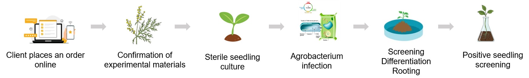 Fig.2 Process of our service.