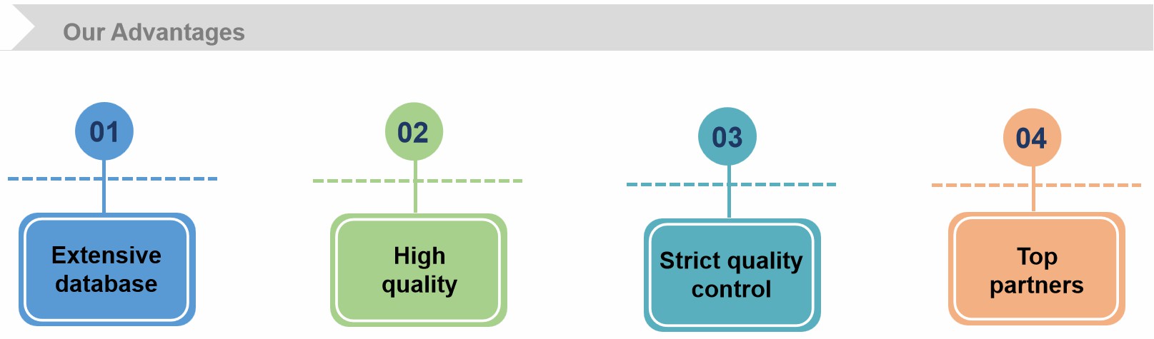 Fig.2 Advantages of our services.