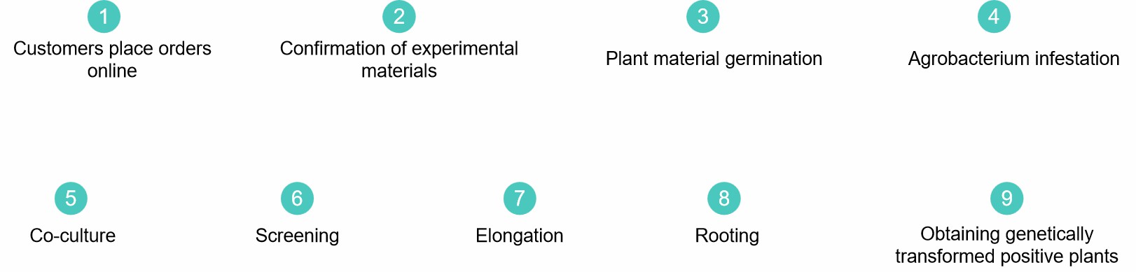 Fig. 2. Our service workflow - Lifeasible