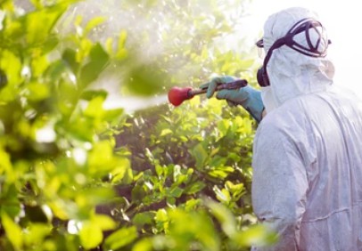 Development of Botanical Photo-activated Pesticides
