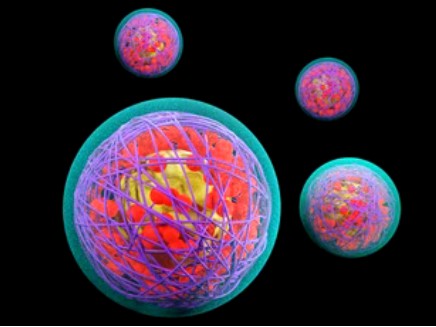 Development of Plant-derived Nanopesticides