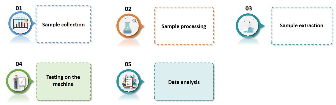 Fig.2 Process of flavonoids quantification.