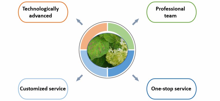 Fig.2 Advantages of our services.