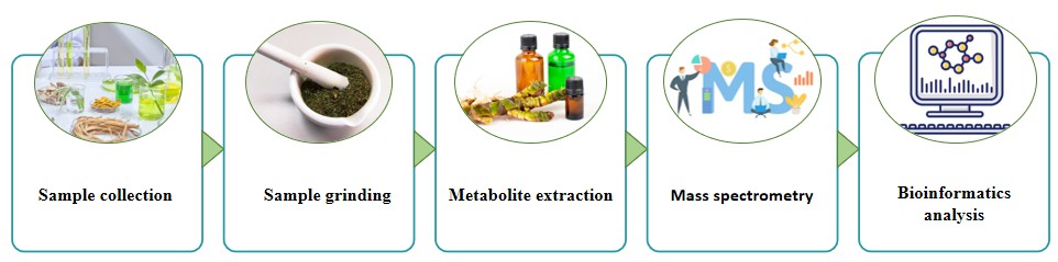 Fig.1 Process of GC-MS metabolome assay.