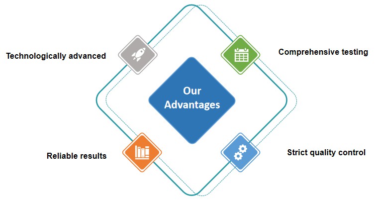 Fig.2 Advantages of our services.