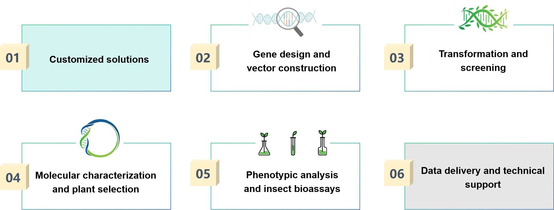 Process of our service.