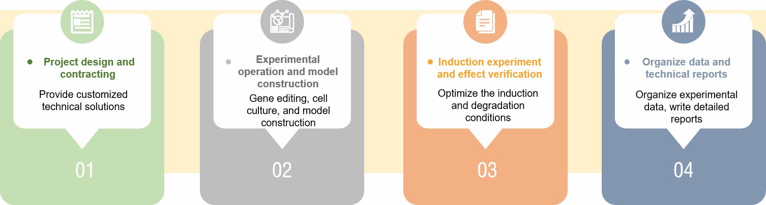 Fig.1 Process of our service.