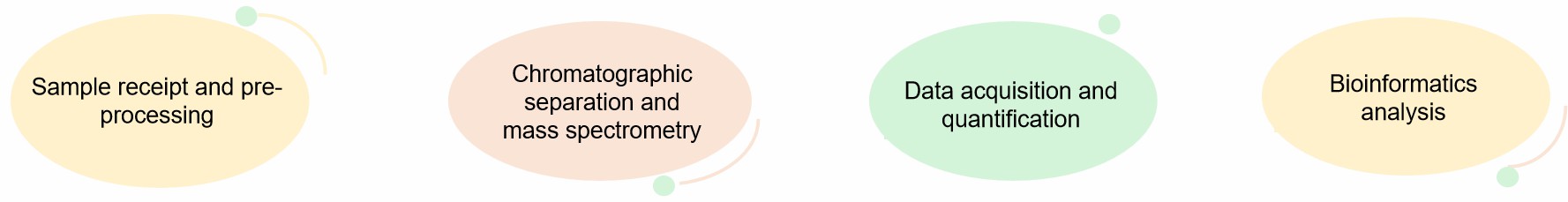 Fig.2 Our service process.