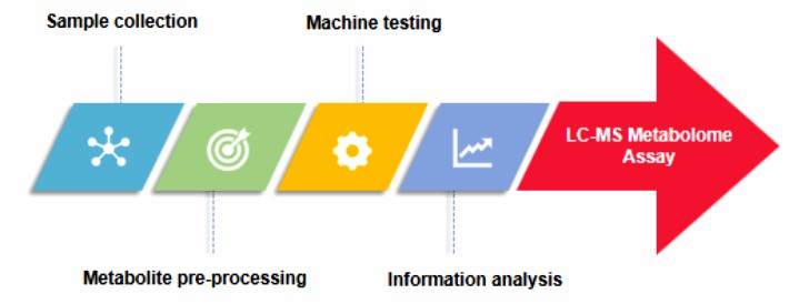 Fig.1 Process of LC-MS metabolome assay.