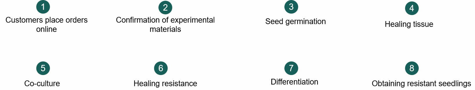 Fig. 2. Our service workflow - Lifeasible