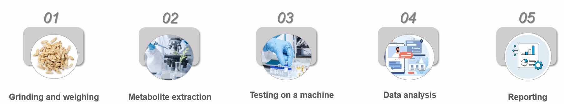 Process of medicinal plant untargeted metabolomics analysis.