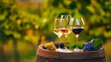 Other Physical and Chemical Testing in Wine