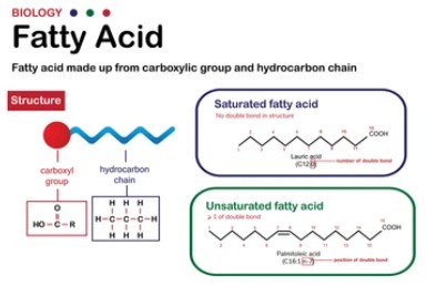 Plant Fatty Acid Testing