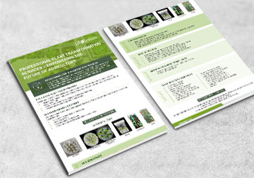Professional Plant Transformation Services – Empowering the Future of Agriculture