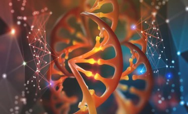 CRISPR Activation (CRISPRa) Service