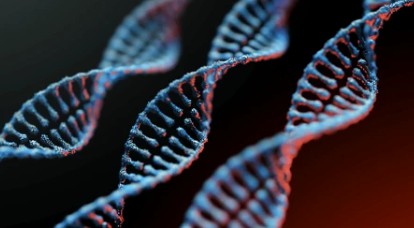 Gene Knock-in Services with CRISPR/Cas9