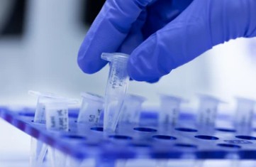 Marker Discovery and Development Service