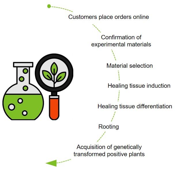 Fig. 2. Our service workflow - Lifeasible