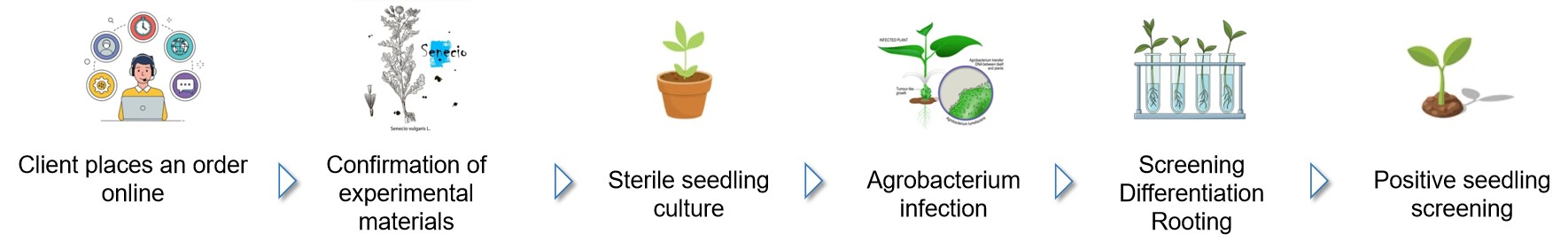 Fig.2 Process of our service.