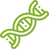 Plant Genetic Engineering Services