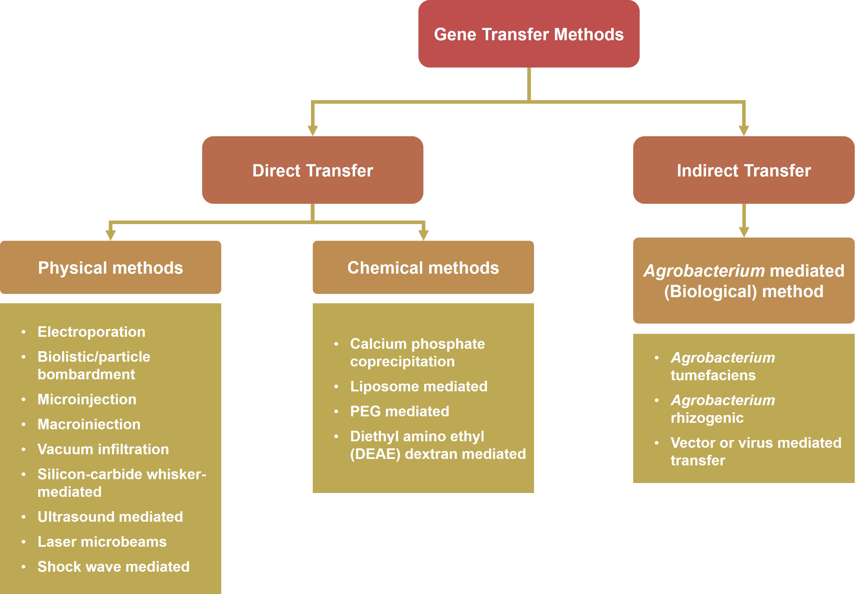 Genetic transfer methods in plants: direct transfer (physical and chemical methods) and indirect transfer (Agrobacterium-mediated methods)