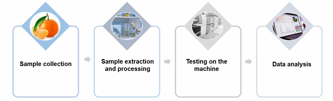 Process of vitamins quantification.