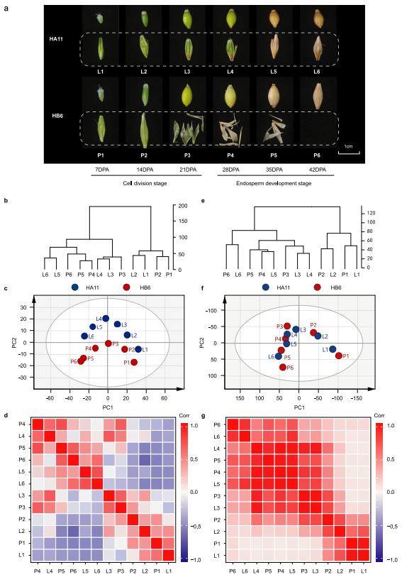 Result plots for metabolome and transcriptome datasets.