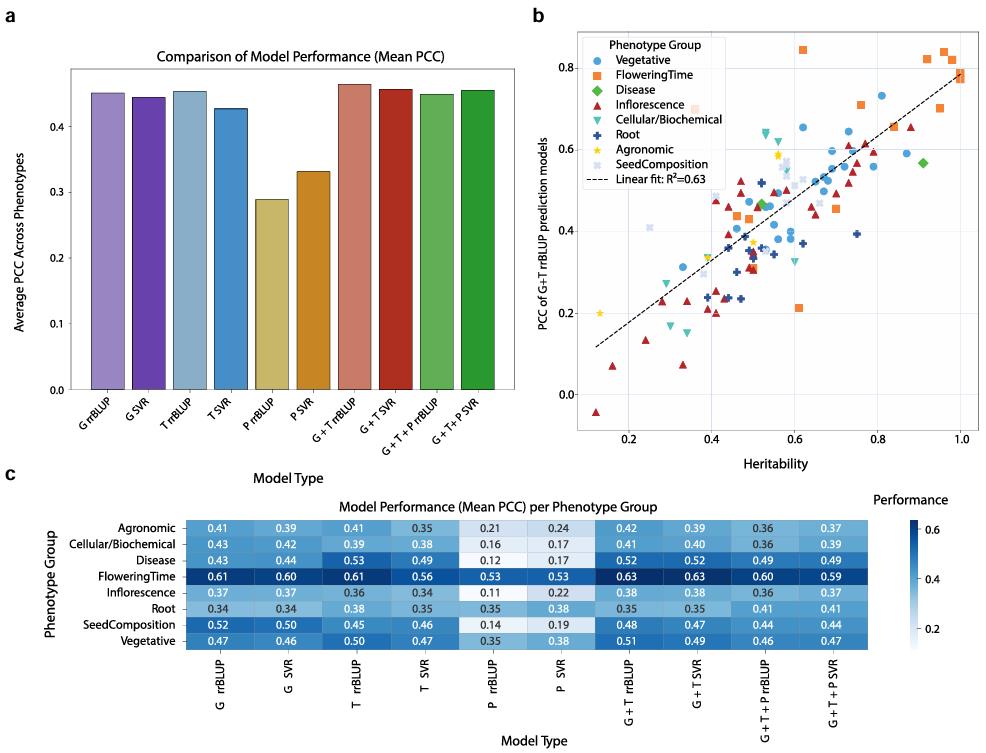 Comparison of multi-omics model performance for predicting 129 diverse maize phenotypes, including bar charts of mean prediction accuracy, heritability correlation, and a heatmap of model performance per phenotype group.